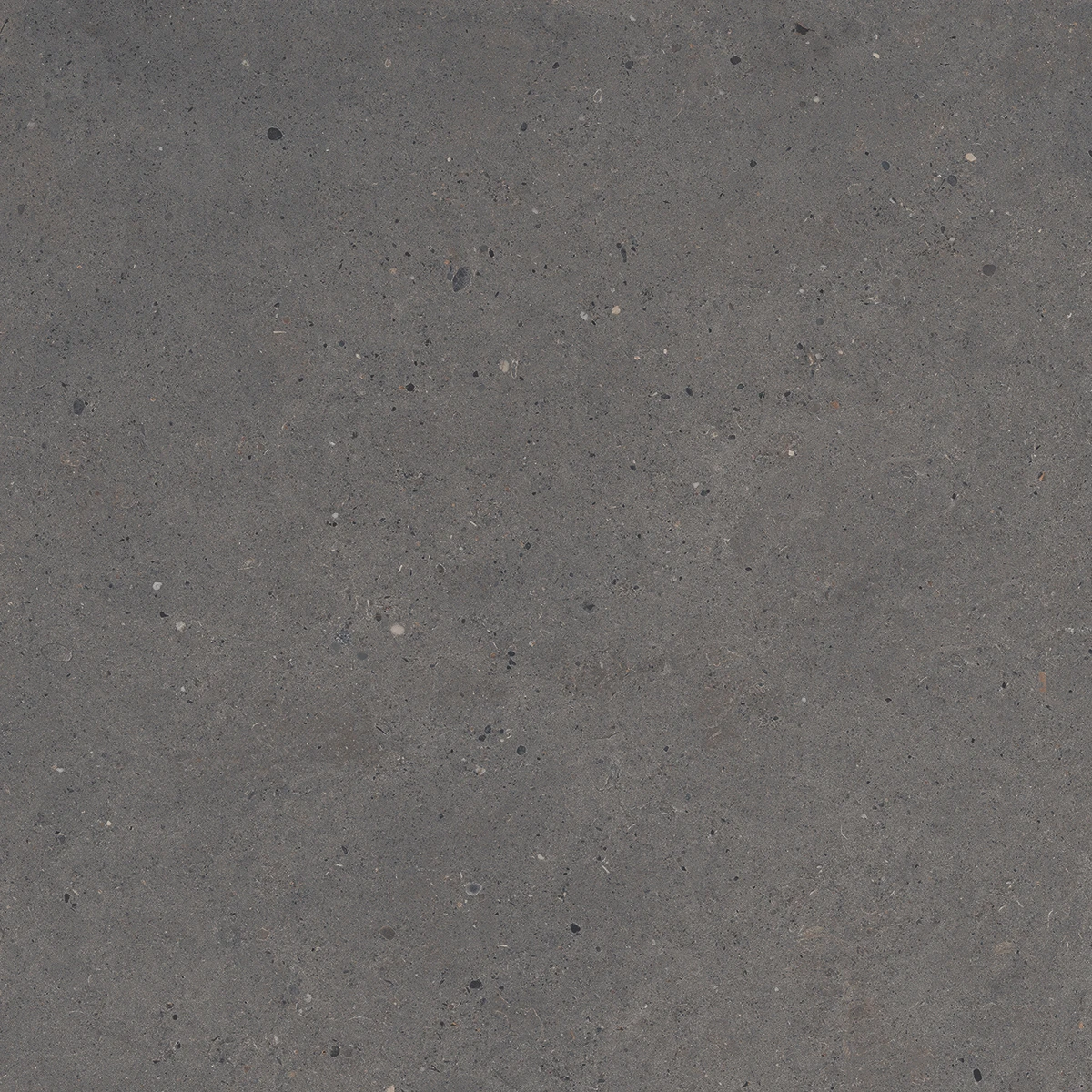 European Tiles Stone Grain DARK 60 X 60 Rectified Matte Tile