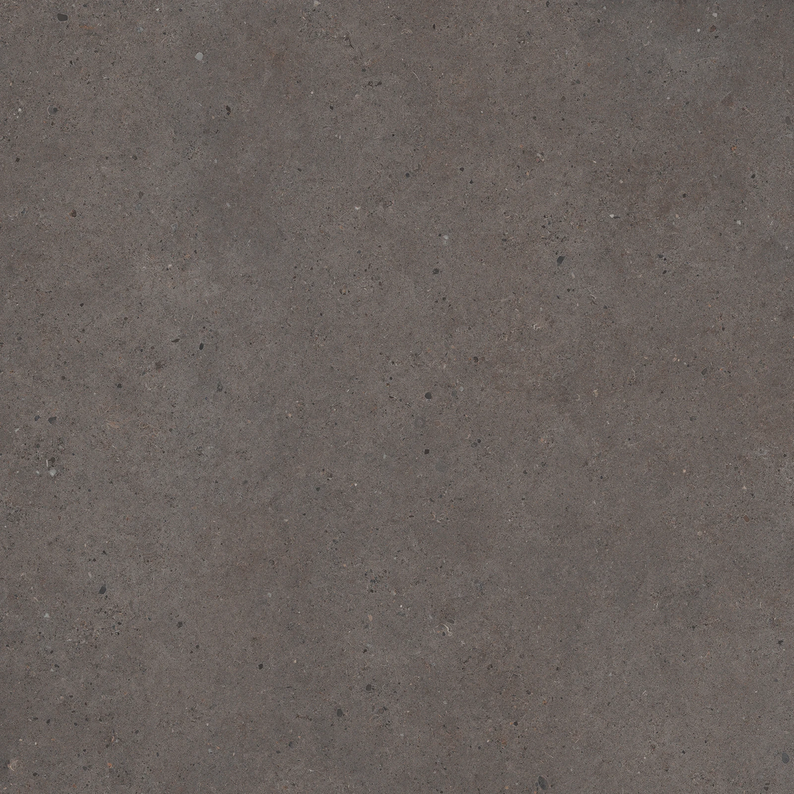 European Tiles Stone Grain DARK 80 X 80 Rectified Matte Tile