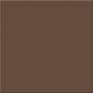 European Tiles Terra Brown Porcelain Matt Wall & Floor Tile 20x20cm