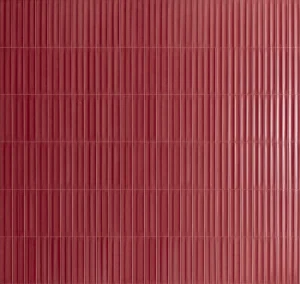 European Tiles Rimatura Amanita 6 X 24 Glossy Tile
