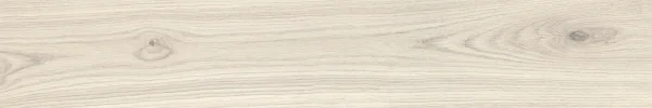European Tiles Alberto Oak White 120 X 20 Rectified Matte Tile