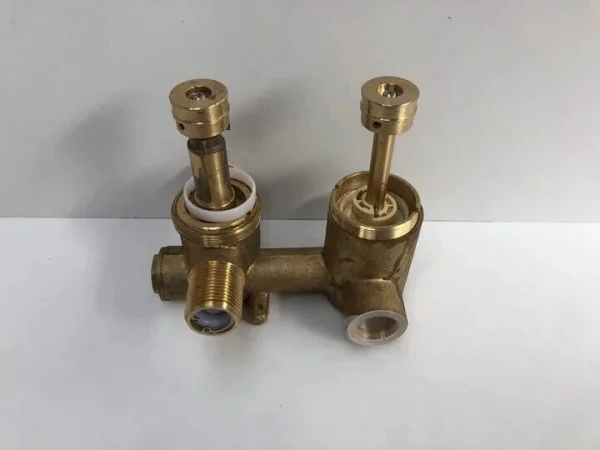 Britton Concealed Valve With Diverter