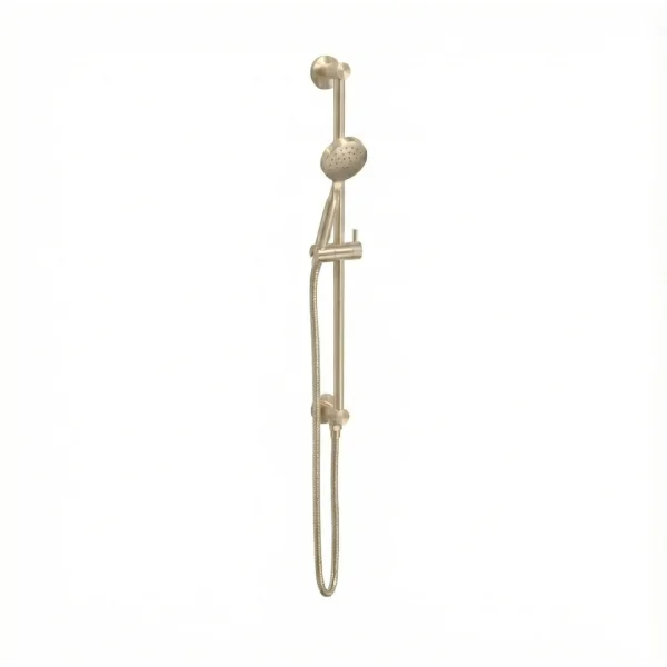 Ava Integrated Single Function Round Slide Rail Kit With Silicone Shower Hose - Brushed Brass