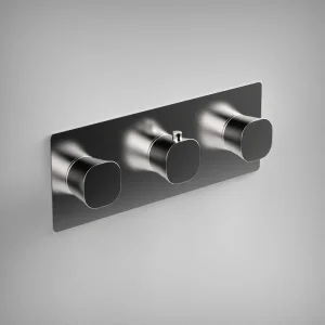 Ava Purity 2 Way 3 Handle Thermostatic Valve W/ Backplate - Polished Stainless Steel