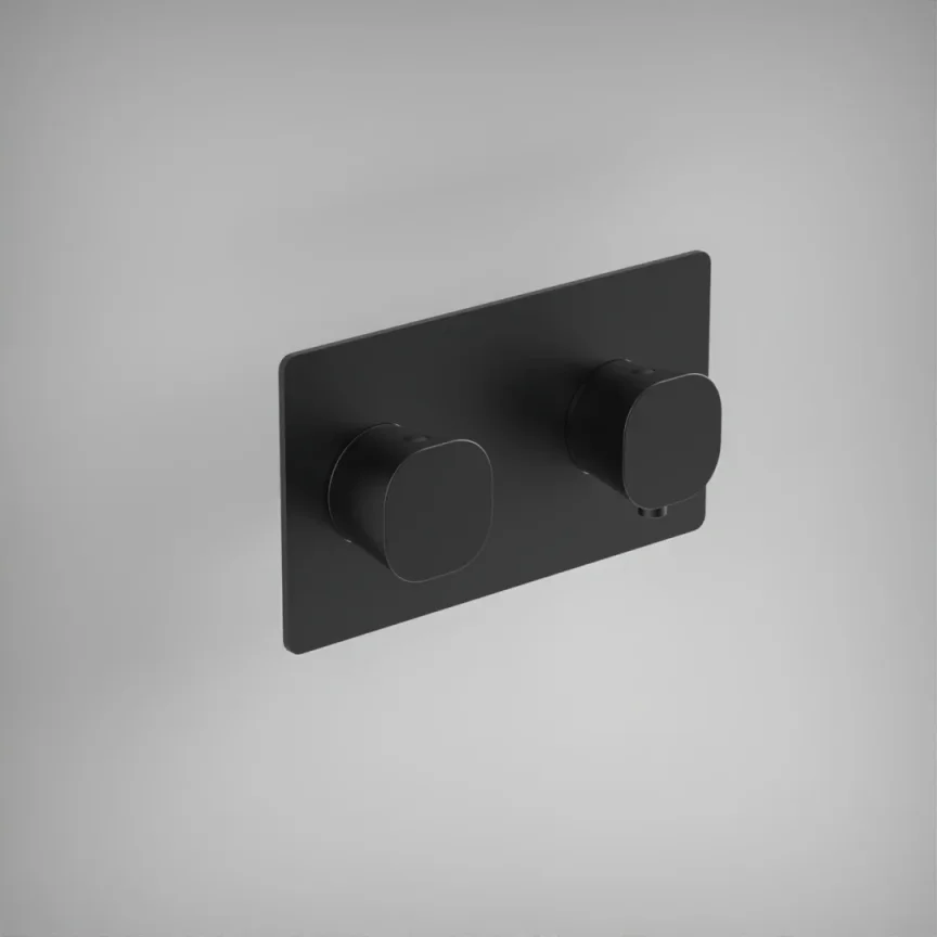 Ava Purity 2 Way 2 Handle Thermostatic Valve W/ Backplate - Brushed Black product image - Image 1