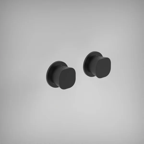 Ava Purity Hot & Cold Stop Valves W/ Flanges - Brushed Black