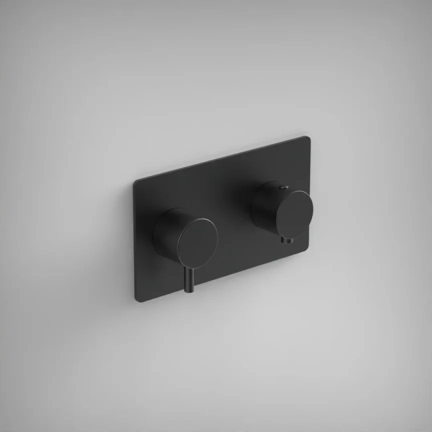Ava Trend 2 Way 2 Handle Thermostatic Valve W/ Backplate - Brushed Black product image - Image 1