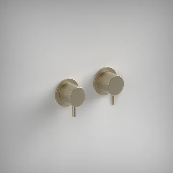 Ava Trend Hot & Cold Stop Valves W/ Flanges - Brushed Brass