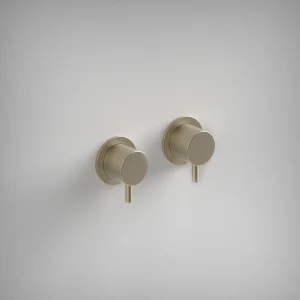 Ava Trend Hot & Cold Stop Valves W/ Flanges - Brushed Brass