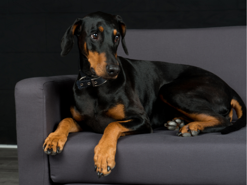 BathroomsbyDesign | Nationwide Bathroom Design Specialists